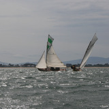 Deilginis crosses in front of Oona